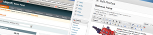 publicatie-magento-wordpress-640x150